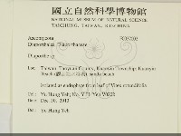 登錄號:F0032002藏品圖，第2張