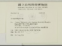 登錄號:F0032009藏品圖，第2張