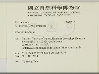 登錄號:F0032017藏品圖，第2張