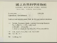 登錄號:F0032018藏品圖，第2張