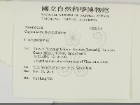 登錄號:F0032019藏品圖，第2張