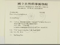 登錄號:F0032020藏品圖，第2張