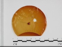 登錄號:F0032022藏品圖，第1張