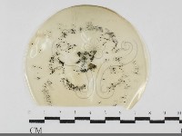 登錄號:F0032025藏品圖，第1張