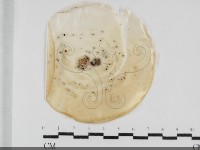 登錄號:F0032027藏品圖，第1張