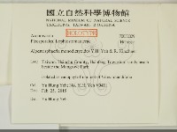 登錄號:F0032029藏品圖，第2張