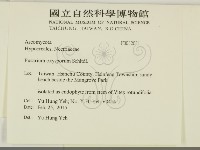 登錄號:F0032031藏品圖，第2張
