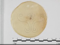 登錄號:F0032031藏品圖，第1張