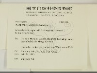 登錄號:F0032034藏品圖，第2張