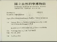 登錄號:F0032035藏品圖，第2張