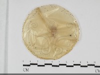 登錄號:F0032036藏品圖，第1張