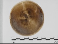 登錄號:F0032037藏品圖，第1張