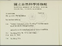 登錄號:F0032038藏品圖，第2張