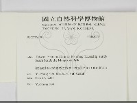 登錄號:F0032039藏品圖，第2張