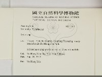 炭角菌屬藏品圖，第2張