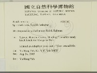 登錄號:F0032043藏品圖，第2張