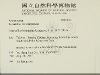 登錄號:F0032048藏品圖，第2張