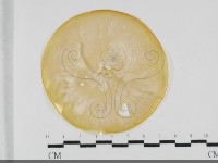 登錄號:F0032048藏品圖，第1張