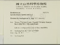 登錄號:F0032050藏品圖，第2張