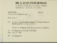 登錄號:F0032051藏品圖，第2張