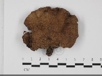 登錄號:F0032051藏品圖，第5張
