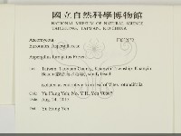 登錄號:F0032052藏品圖，第2張