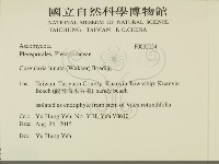 登錄號:F0032054藏品圖，第2張