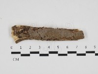 登錄號:F0032056藏品圖，第1張