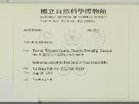 登錄號:F0032057藏品圖，第2張