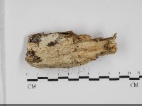 登錄號:F0032059藏品圖，第1張