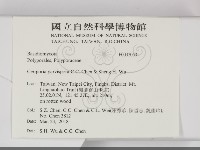 登錄號:F0032060藏品圖，第2張
