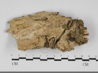 登錄號:F0032060藏品圖，第1張