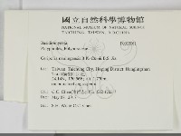 登錄號:F0032061藏品圖，第2張