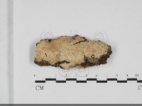 登錄號:F0032061藏品圖，第1張