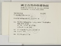 登錄號:F0032062藏品圖，第2張