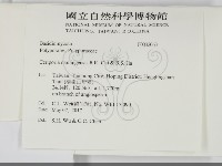 登錄號:F0032063藏品圖，第2張