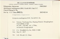 登錄號:F0032063藏品圖，第3張