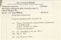 登錄號:F0032064藏品圖，第3張