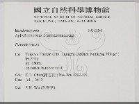 登錄號:F0032065藏品圖，第2張