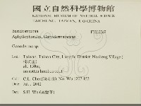 登錄號:F0032067藏品圖，第2張