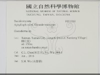 登錄號:F0032068藏品圖，第2張