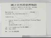 登錄號:F0032069藏品圖，第2張