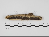 登錄號:F0032071藏品圖，第1張