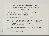 刺革菌屬藏品圖，第2張