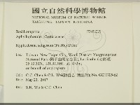 剛毛絲皮菌藏品圖，第2張