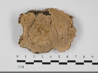 登錄號:F0032077藏品圖，第1張