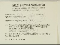 登錄號:F0032078藏品圖，第2張