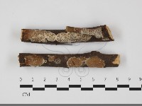 登錄號:F0032079藏品圖，第1張