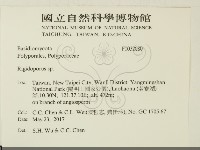 硬孔菌屬藏品圖，第2張