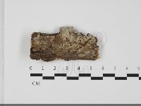 登錄號:F0032081藏品圖，第1張